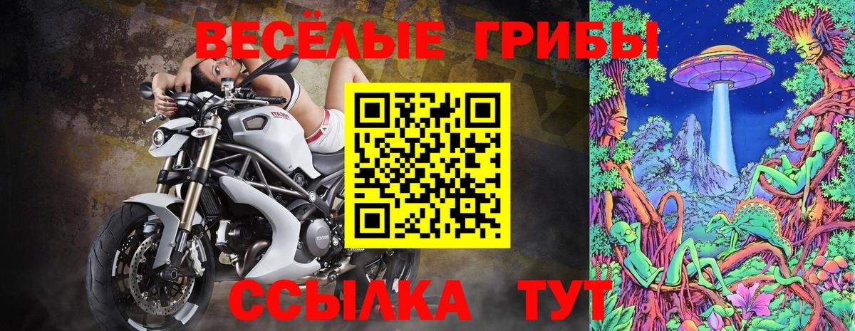 Арсеньев  Галлюциногенные грибы Cubensis  Вход с VPN 