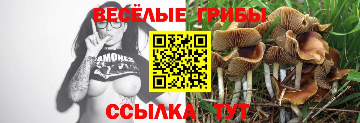 Галлюциногенные грибы прущие грибы Арсеньев